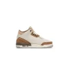 Air Jordan 3 Retro "Gs Palomino"